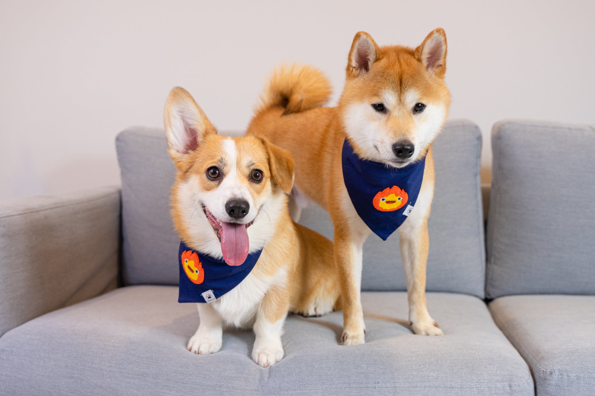 Little Fire Spirit Anime Dog & Cat Bandana