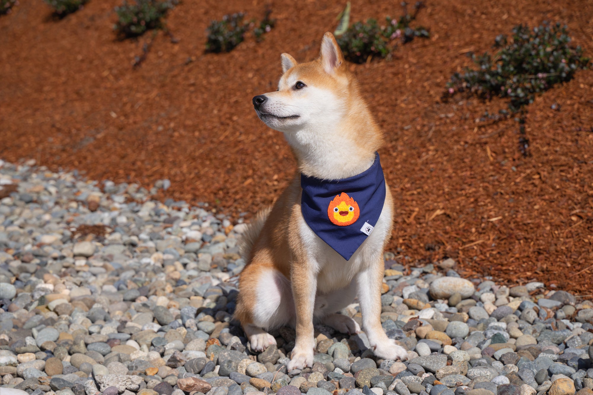 Little Fire Spirit Anime Dog & Cat Bandana