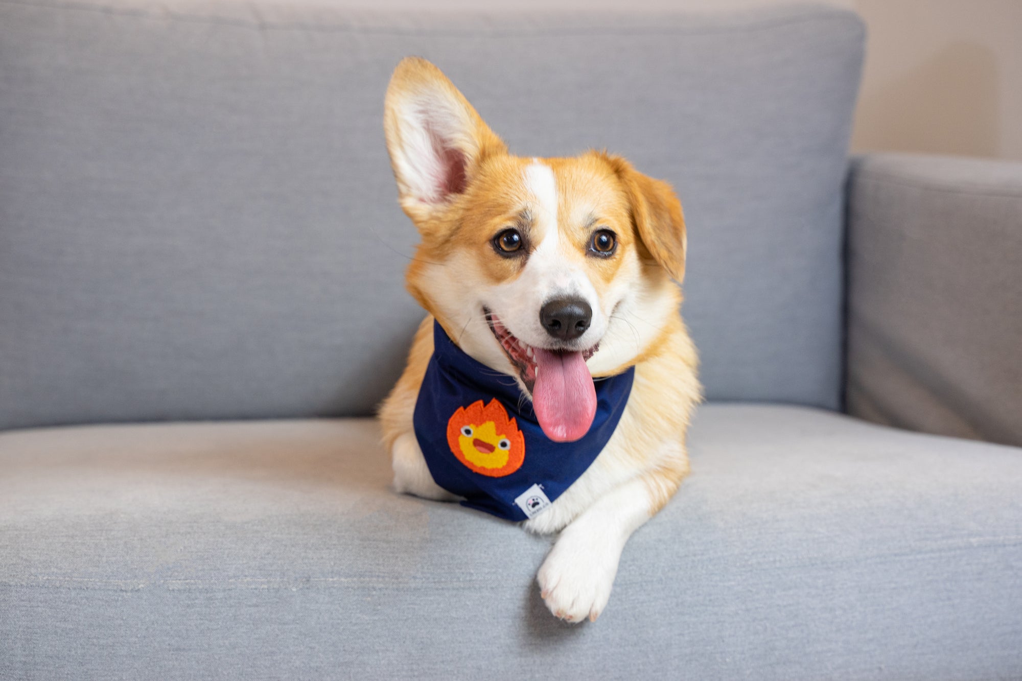 Little Fire Spirit Anime Dog & Cat Bandana