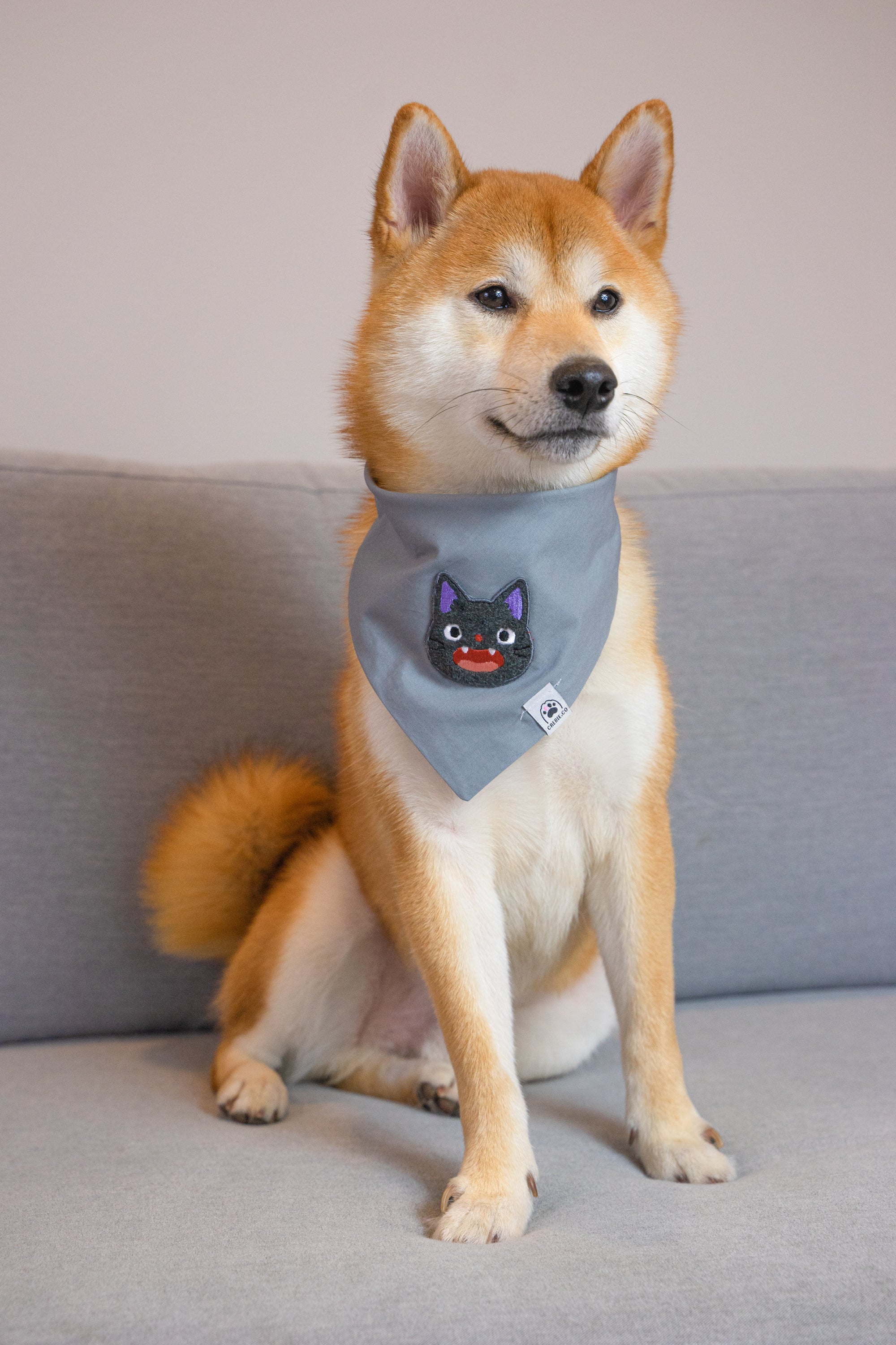 Magical Cat Anime Dog & Cat Bandana