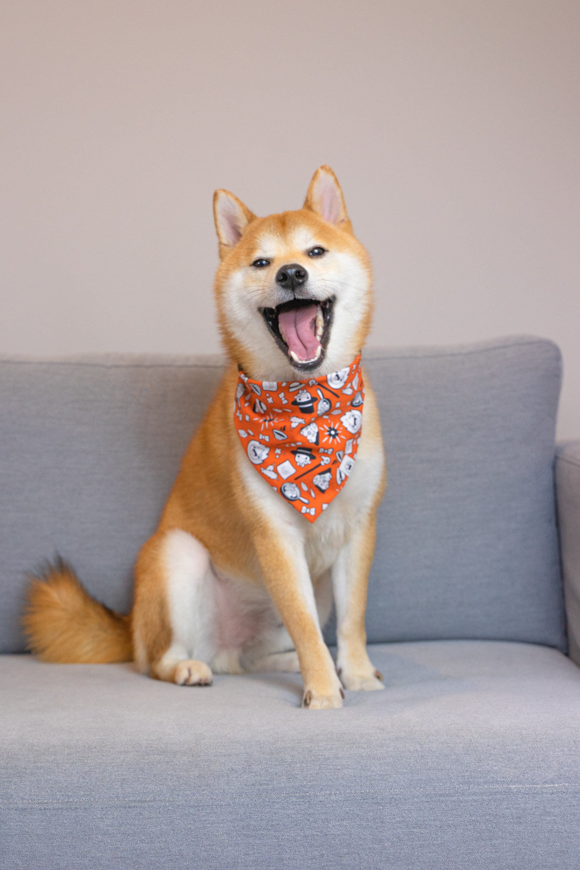 Wandering Castle Anime Dog & Cat Bandana