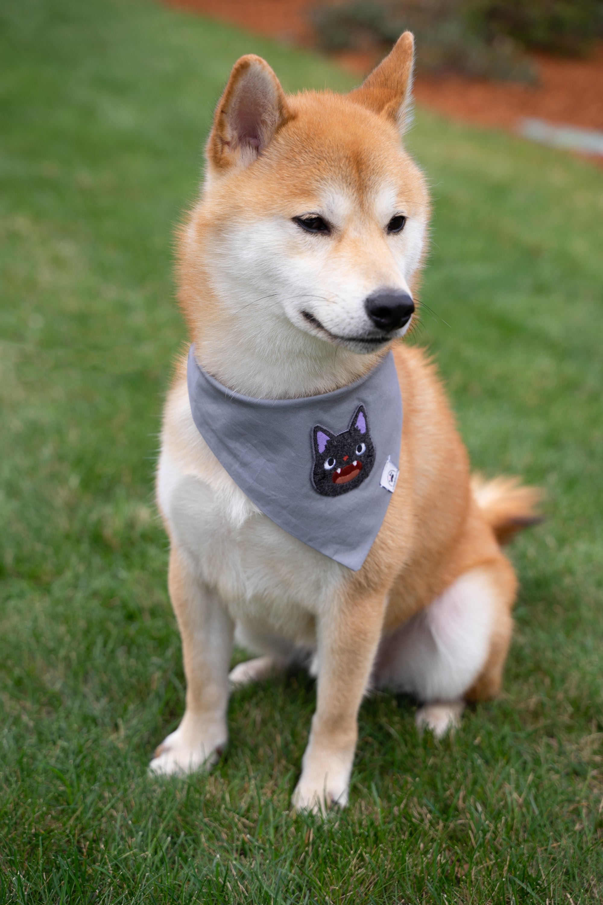 Magical Cat Anime Dog & Cat Bandana