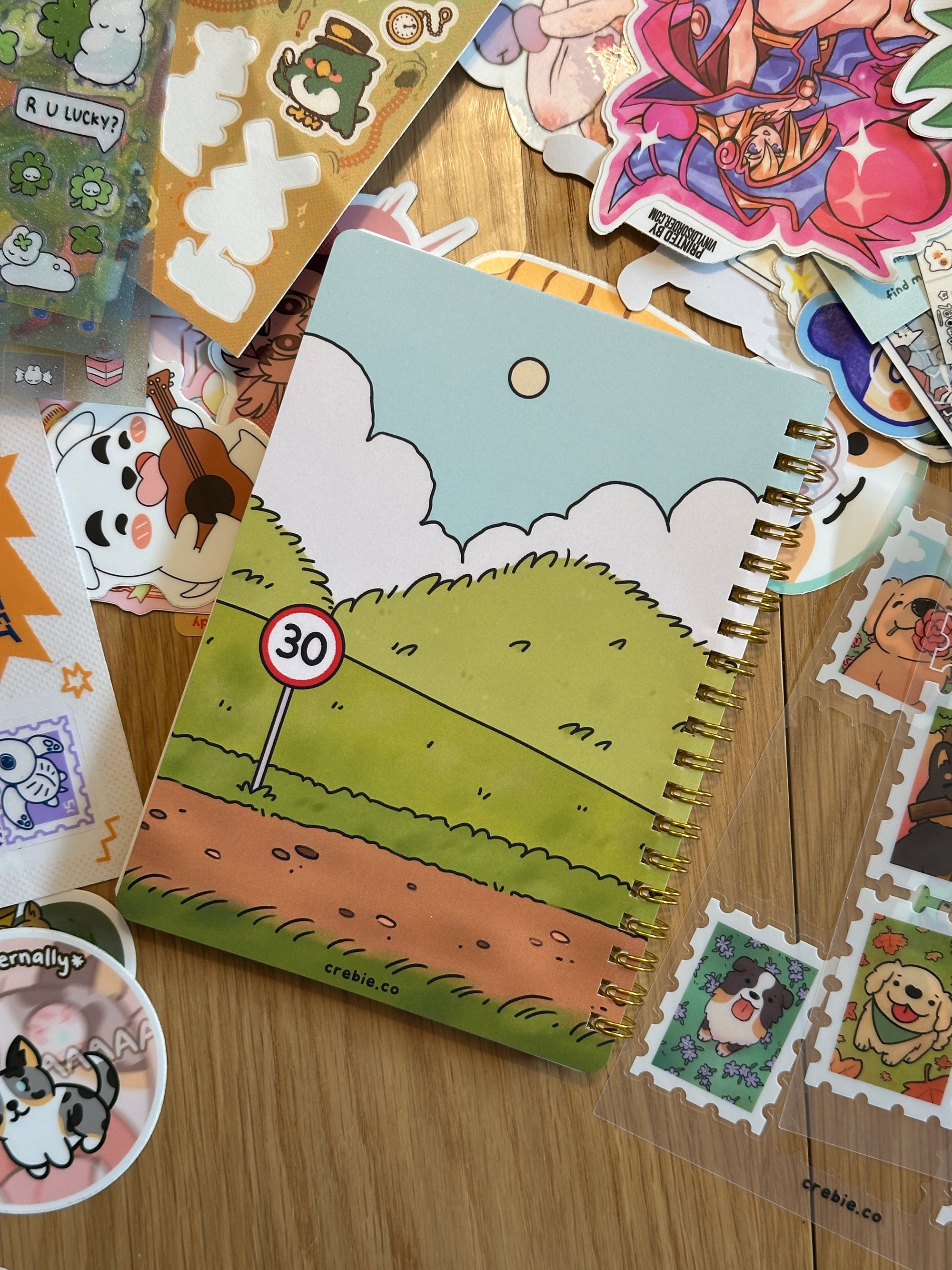 Sticker Book