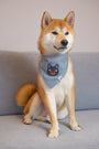 Magical Cat Anime Dog & Cat Bandana